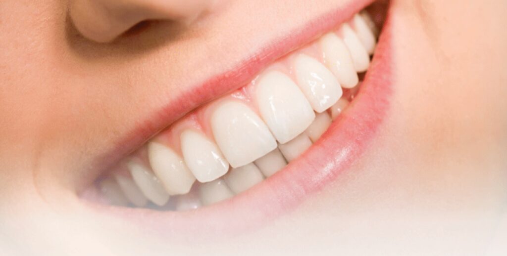 KakaoTalk_20250918_202758532