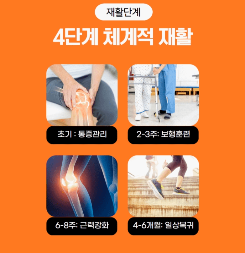 십자인대파열