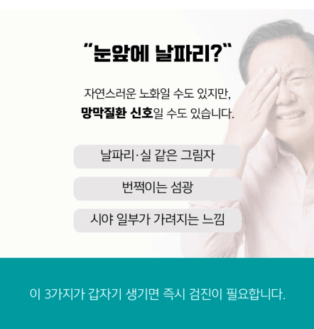 눈에날파리가보이는증상