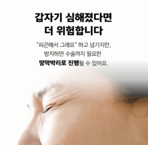 눈에날파리가보이는증상