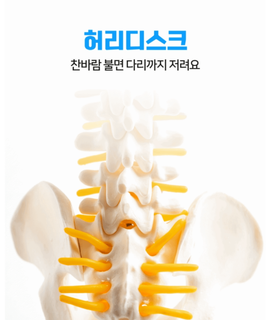 허리디스크관리방법