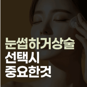 눈썹하거상술 비용