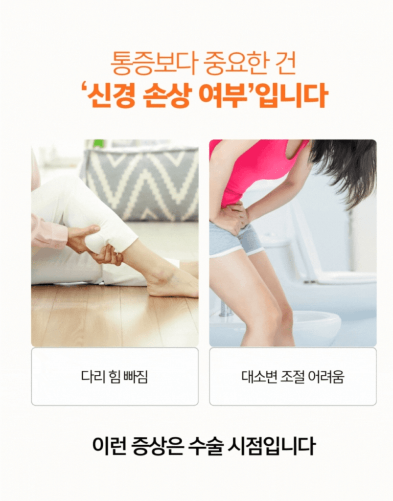 허리수술 종류

