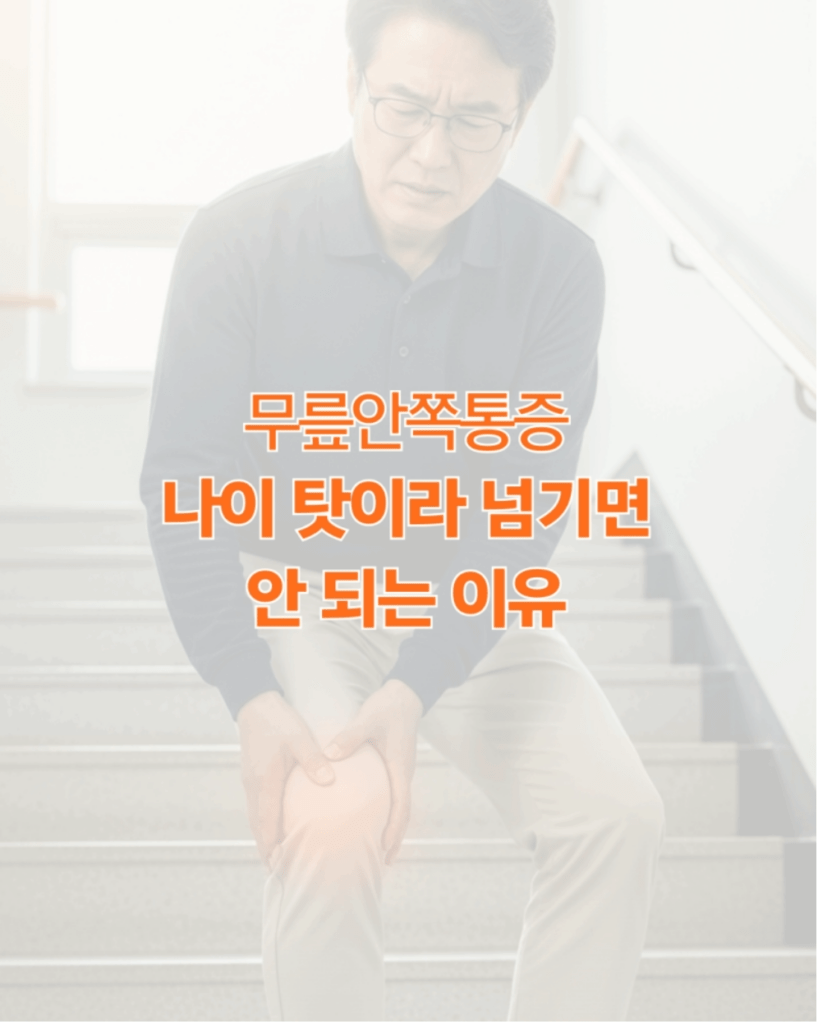 무릎안쪽통증