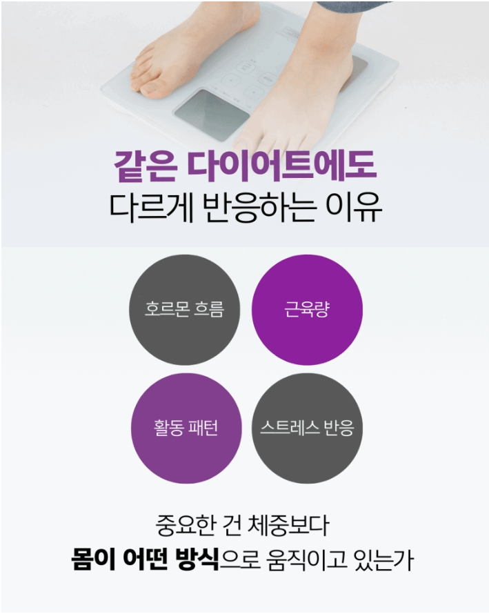 평택고덕비만주사