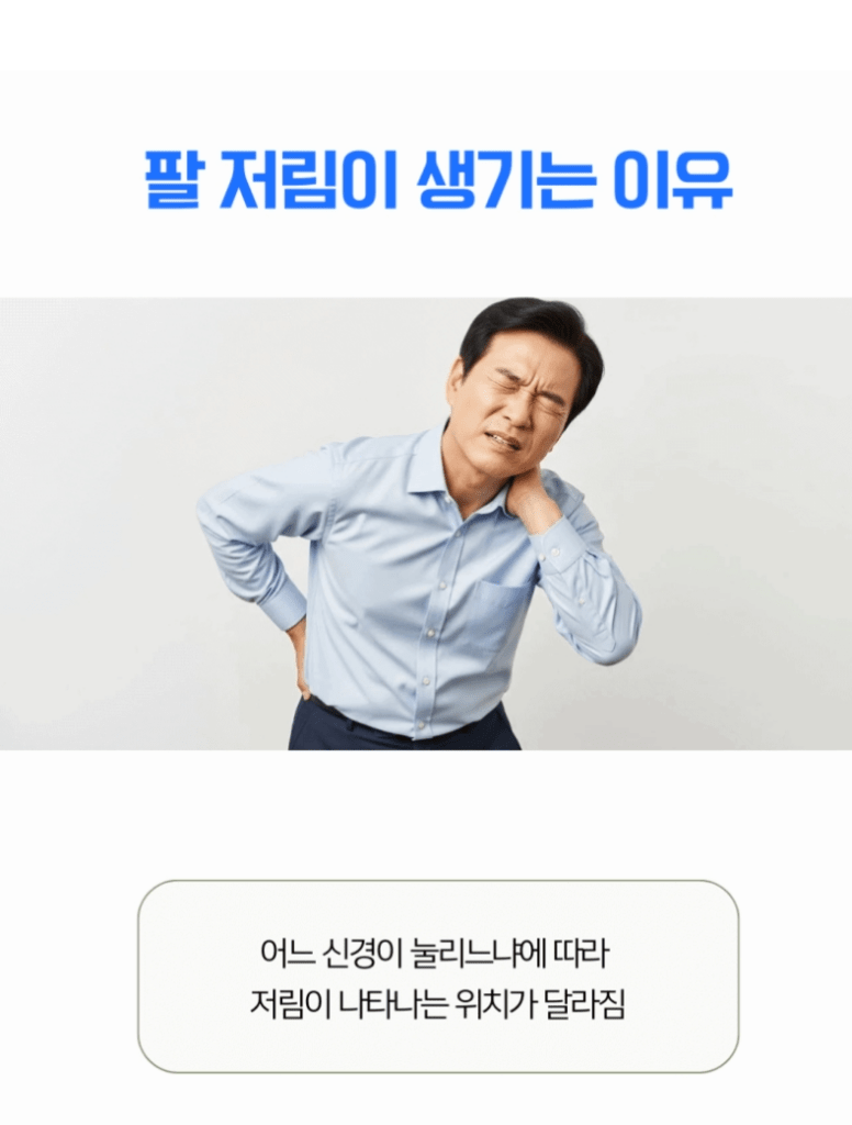 안산목디스크