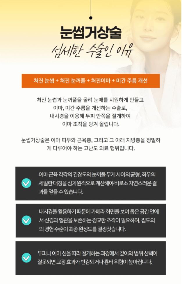 눈썹거상술비용
