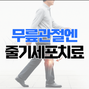 안산무릎치료
