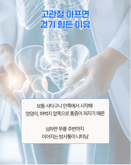 안산고관절통증
