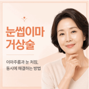 눈썹이마거상술