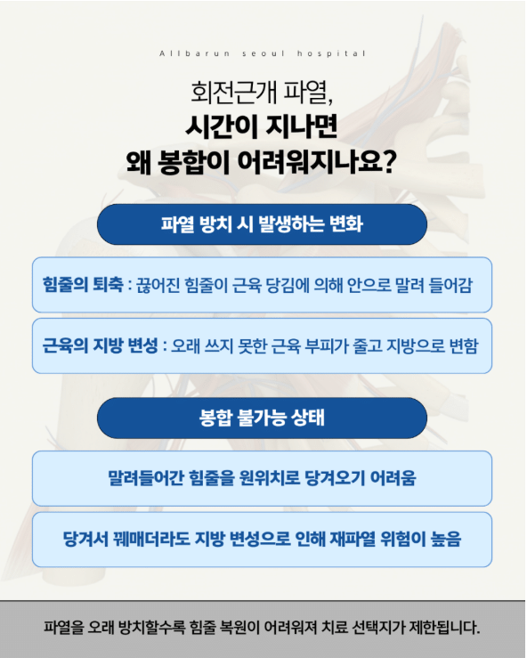 강동구 어깨 정형외과