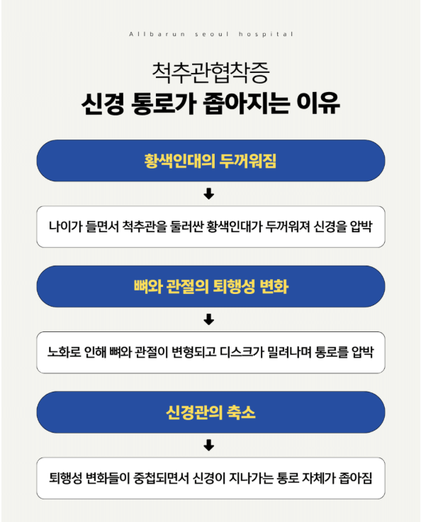강동구척추병원
